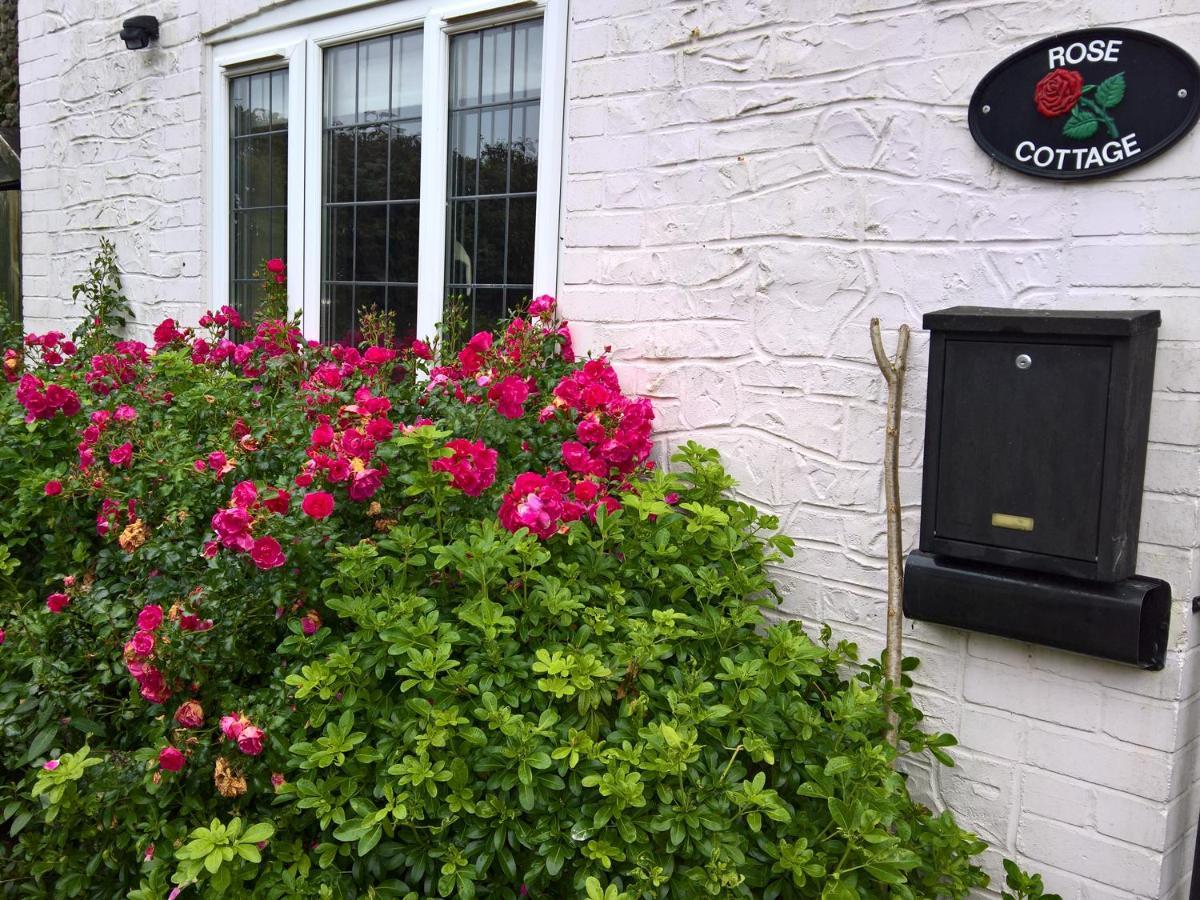 Rose Cottage Чард Екстер'єр фото